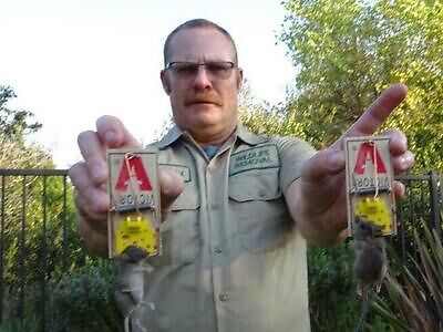 San Diego pest control
